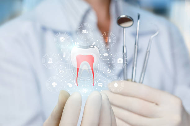 Best Pediatric Dentistry  in Normandy Park, WA