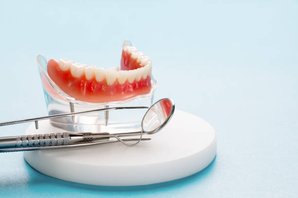  Normandy Park, WA Holistic Dental Services Pros